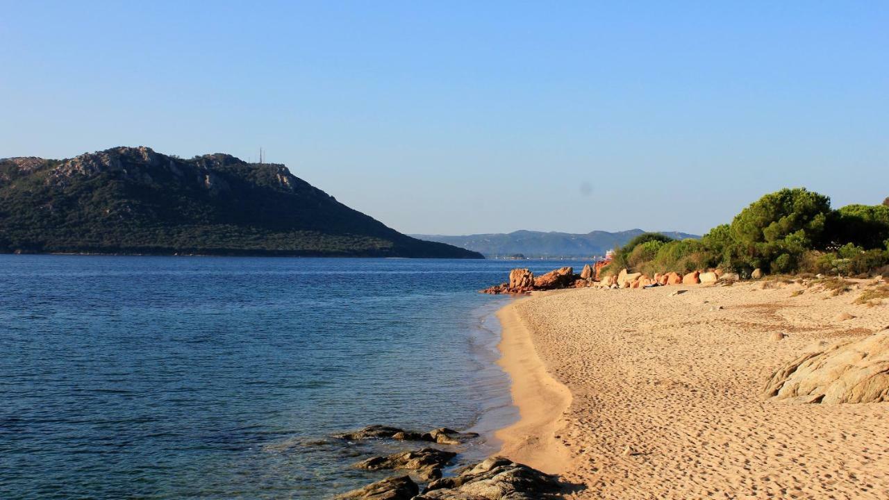 Villas Cala Corsa - 3 Et 4 Chambres - Cala Rossa Porto-Vecchio - Villas Entierement Climatisees Avec Piscine Chauffee Partagee Et Piscines Privees - Internet Gratuit Buitenkant foto